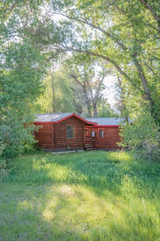 Teton Valley Cabins Driggs Quarto foto